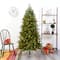 6ft. Pre-Lit Vienna Fir Artificial Christmas Tree, Warm White LED Lights